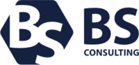 BS Consulting BS Consulting